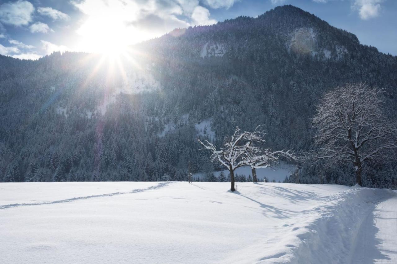 Gastehaus Midi Hotel Reith im Alpbachtal Kültér fotó