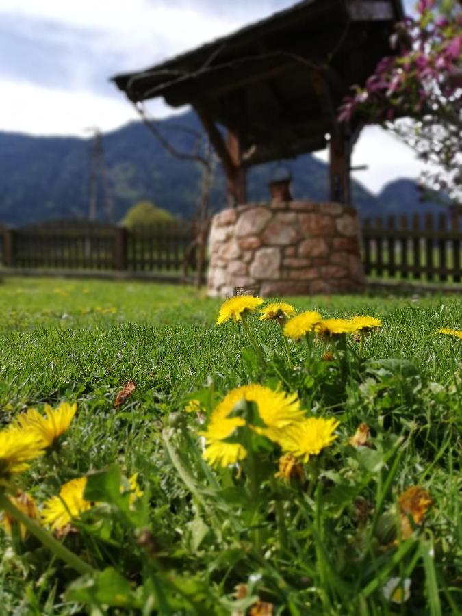 Gastehaus Midi Hotel Reith im Alpbachtal Kültér fotó